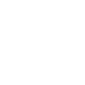 Flutter