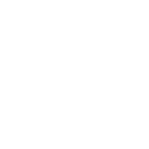 Woocommerce